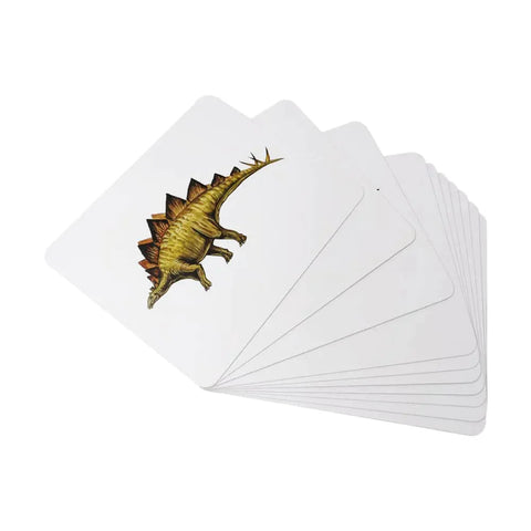 Brainsmith Quantum Cards Dinosaurs
