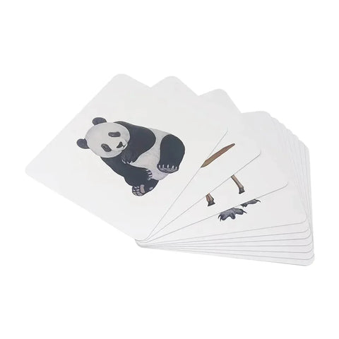 Brainsmith Quantum Cards Mammals