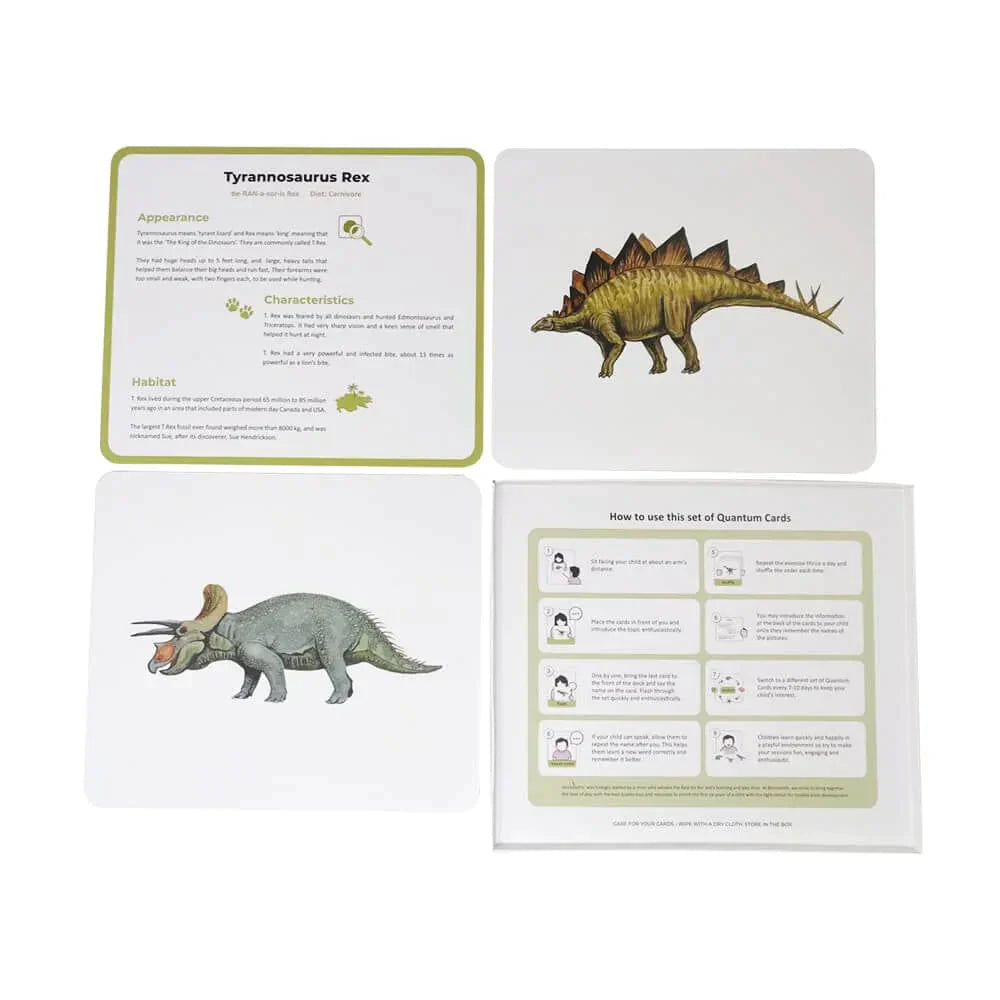 Brainsmith Quantum Cards Dinosaurs