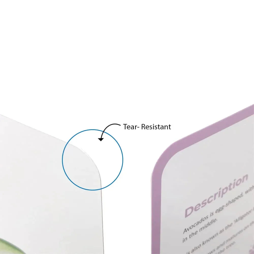 Brainsmith Quantum Cards Fruits