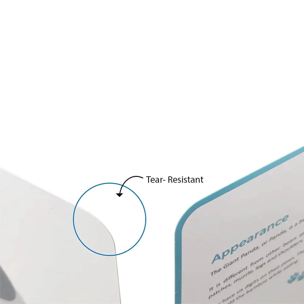 Brainsmith Quantum Cards Mammals