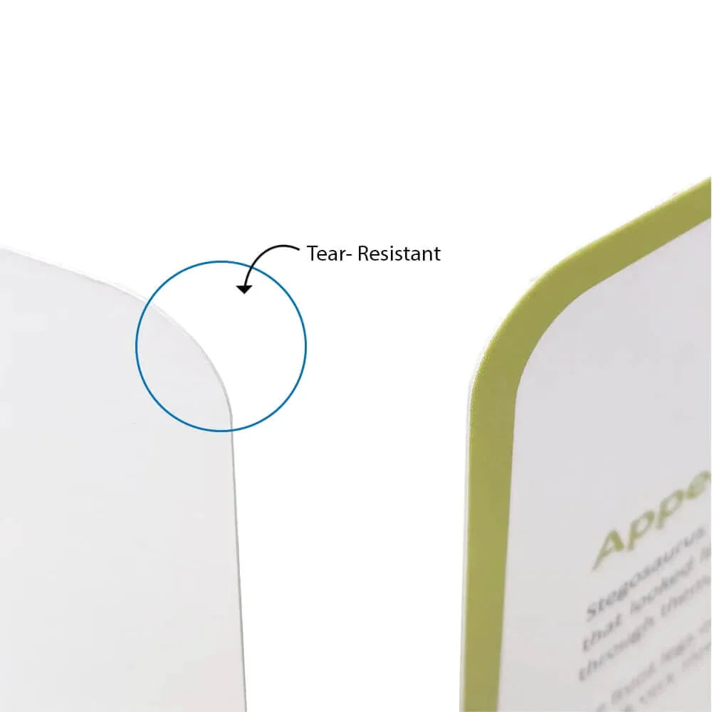 Brainsmith Quantum Cards Dinosaurs