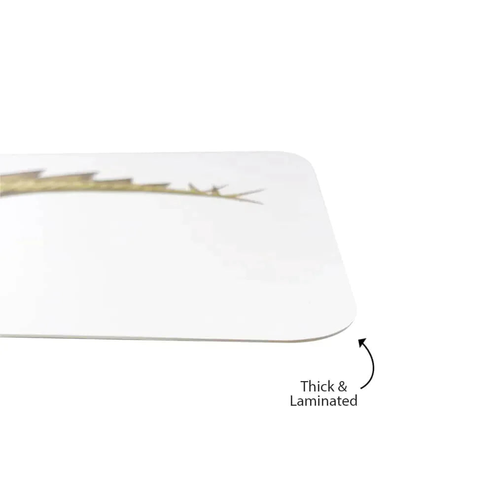 Brainsmith Quantum Cards Dinosaurs