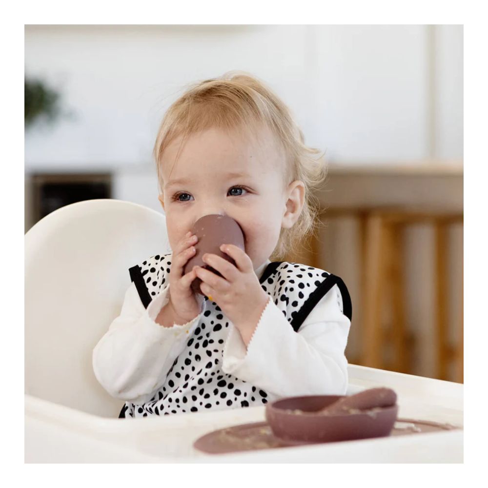 First Foods Set - Mauve