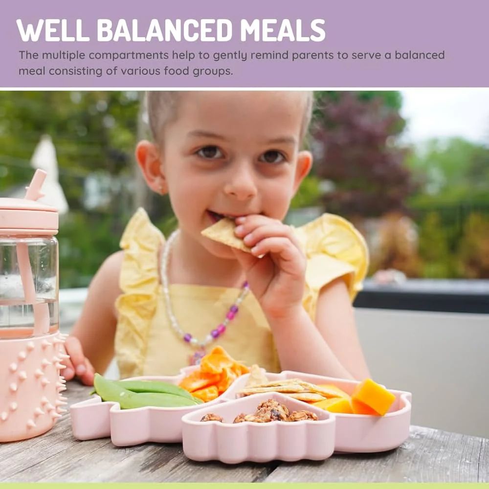 Silicone Divided Plate- Pink