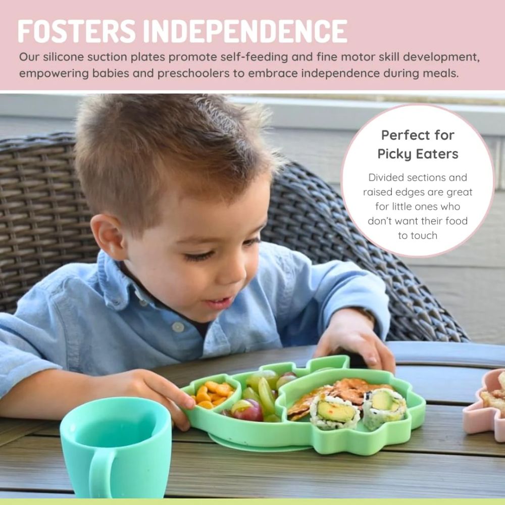 Silicone Divided Plate- Mint