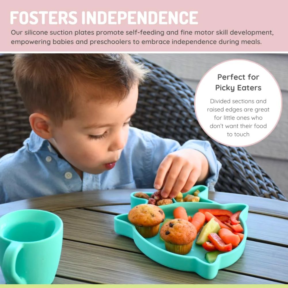 Silicone Divided Plate- Blue