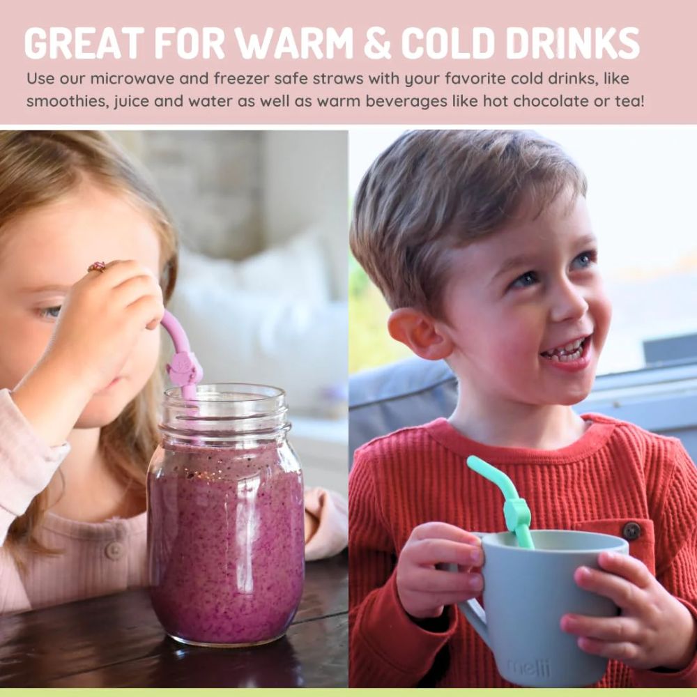 Silicone Animal Straws- Set of 6 with Cleaning Brush Multicolored