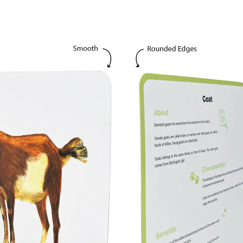 Brainsmith Quantum Cards Farm Animals