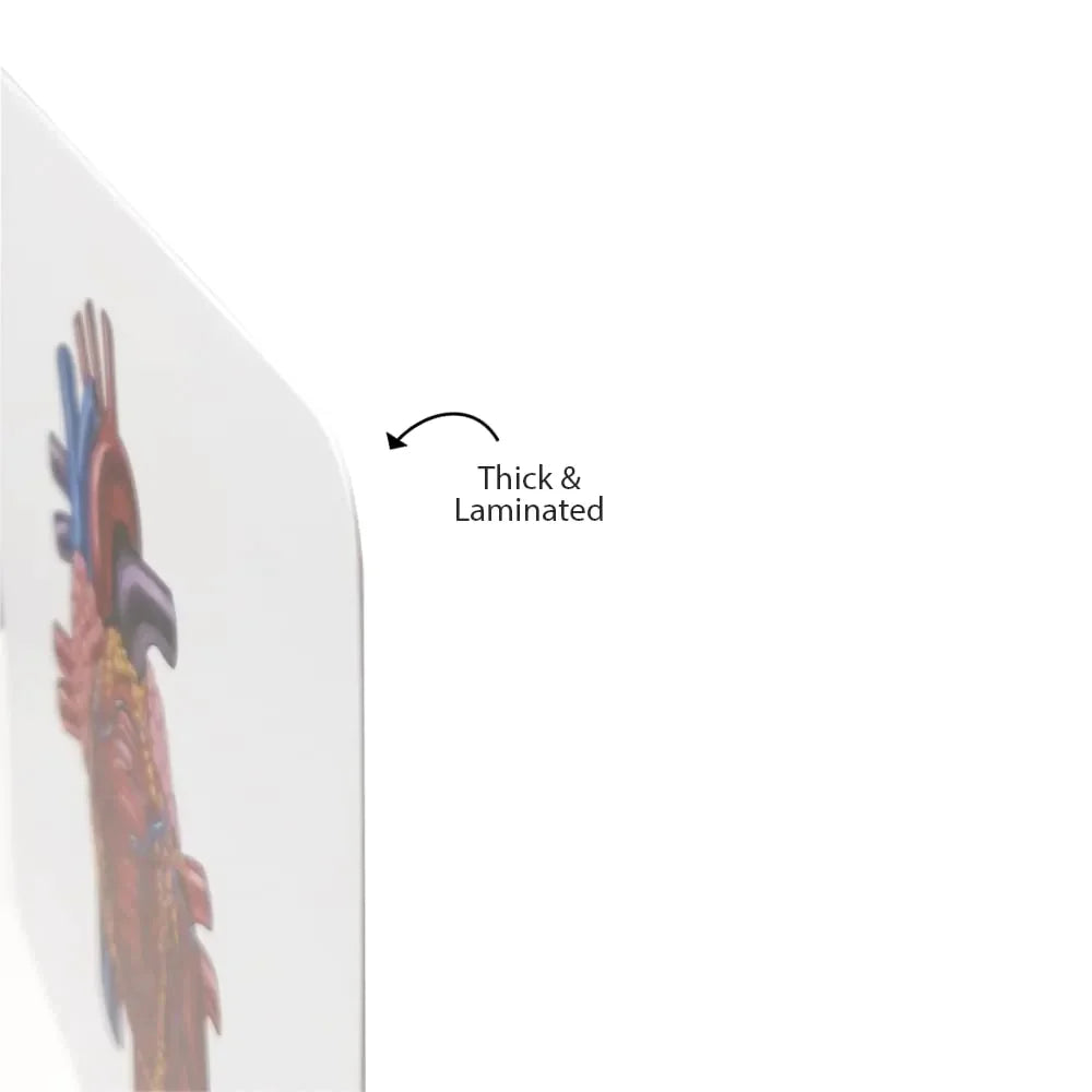 Brainsmith Quantum Cards Organs Of The Human Body