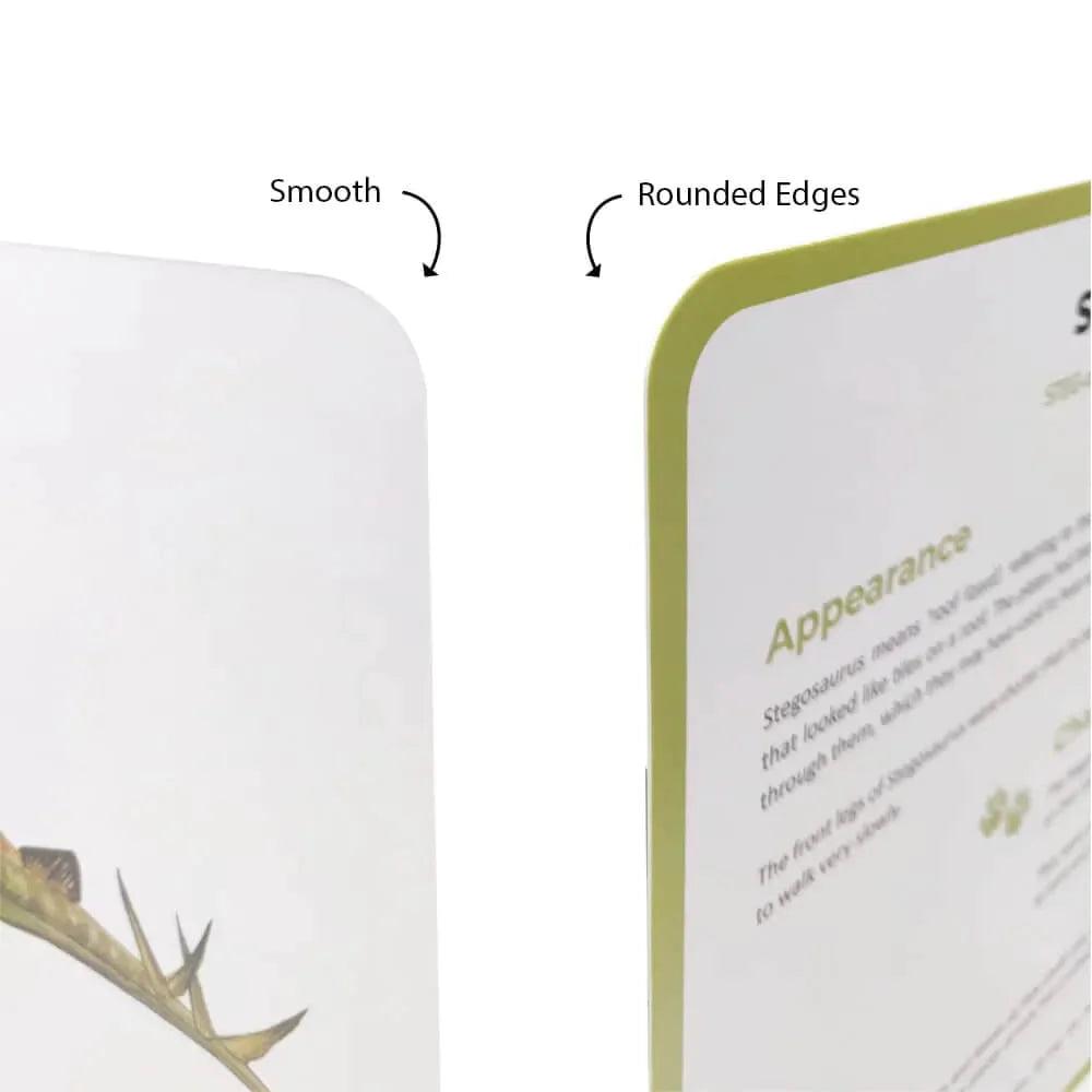 Brainsmith Quantum Cards Dinosaurs