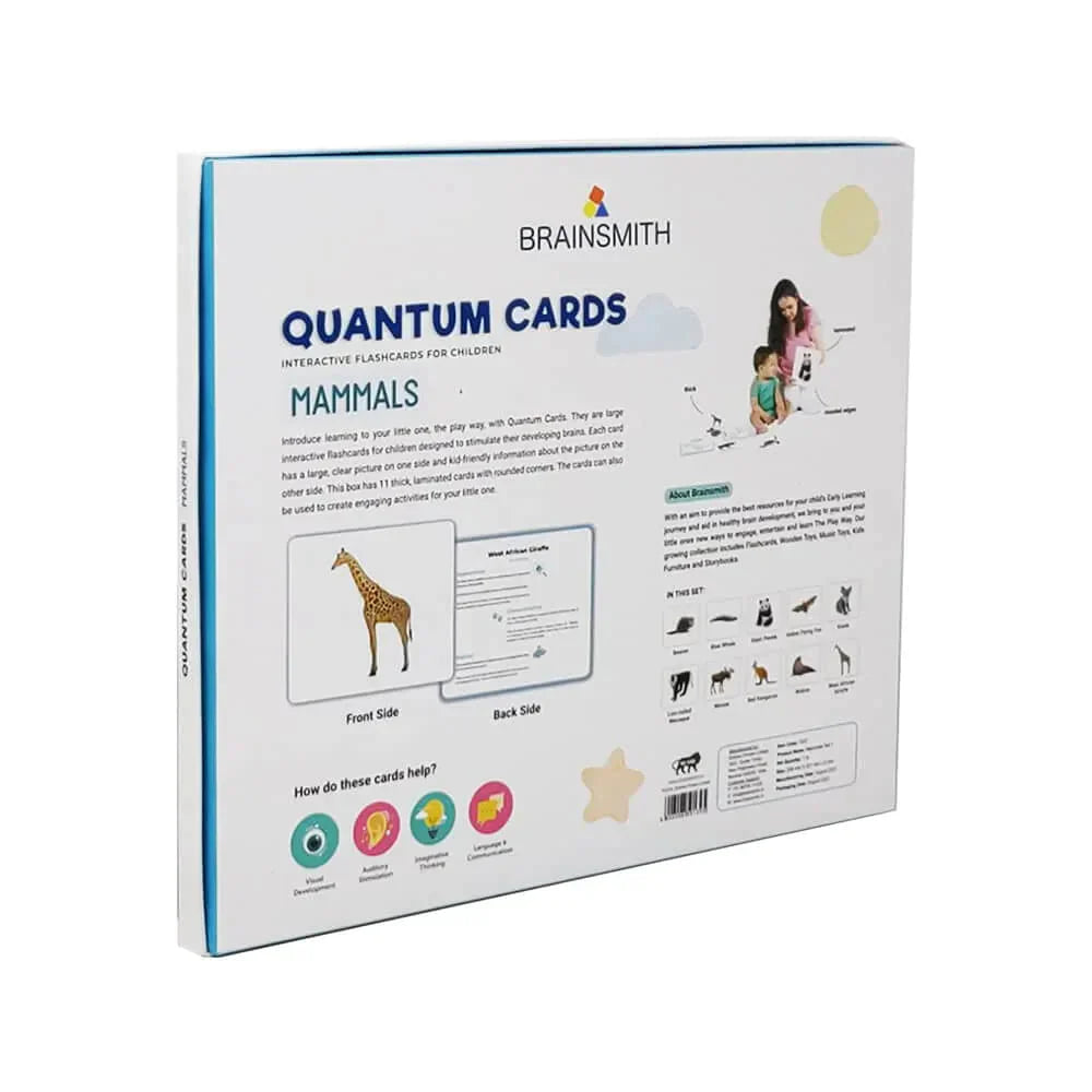 Brainsmith Quantum Cards Mammals