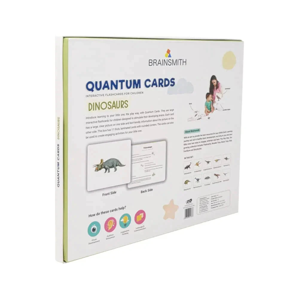 Brainsmith Quantum Cards Dinosaurs