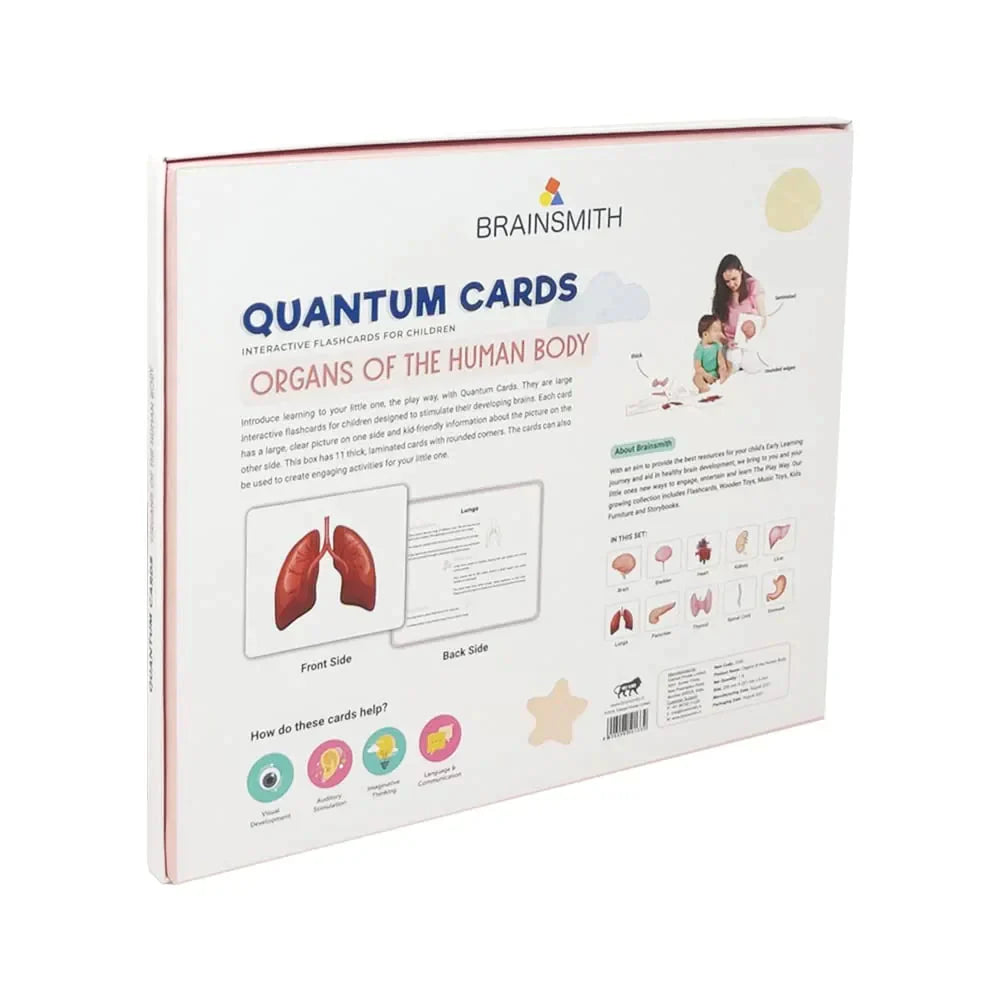 Brainsmith Quantum Cards Organs Of The Human Body