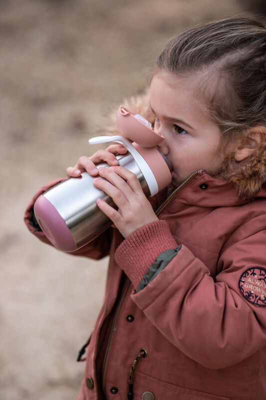 Stainless Steel Bottle - 350 Ml Vintage Pink