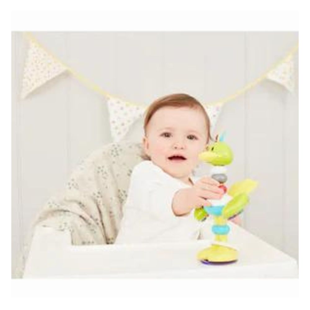 Bendy Bird Highchair Toy 6M to 18 M