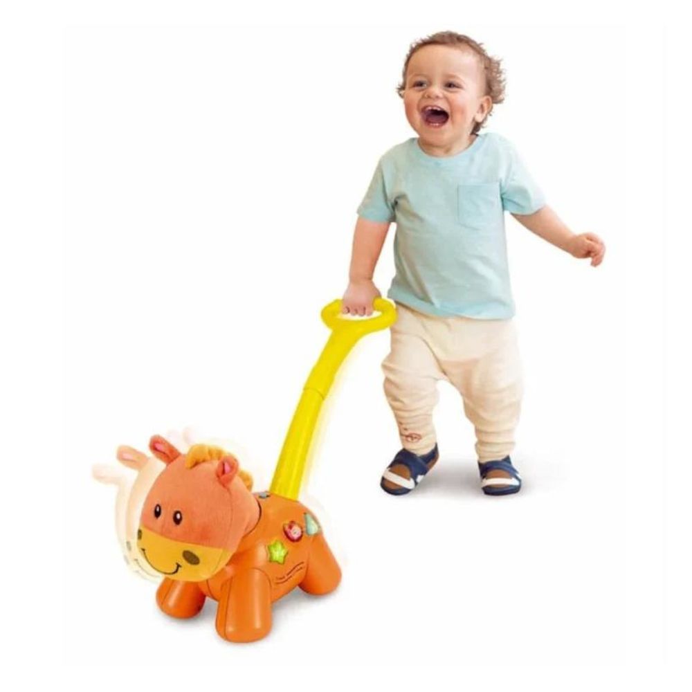 Winfun Push N Walk Pony
