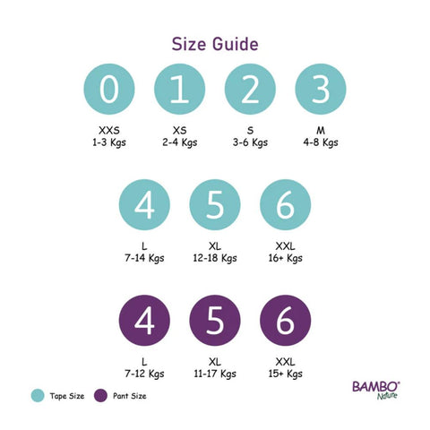 Skin Friendly Pant Style Diapers - Monthly Box - Size 6