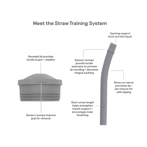 Mini Cup + Straw Training System for Toddlers - Gray