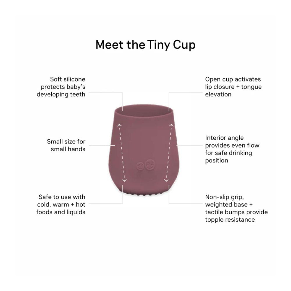 First Foods Set - Mauve