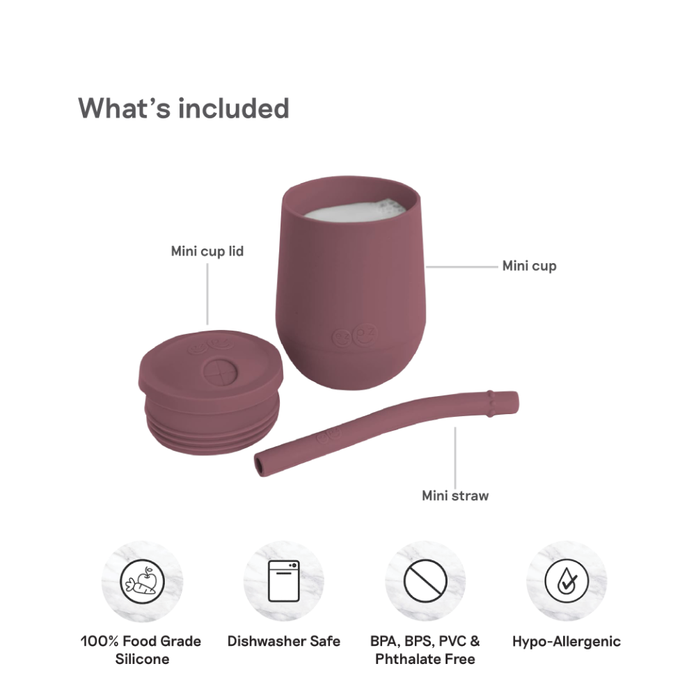 Mini Cup + Straw Training System for Toddlers - Mauve