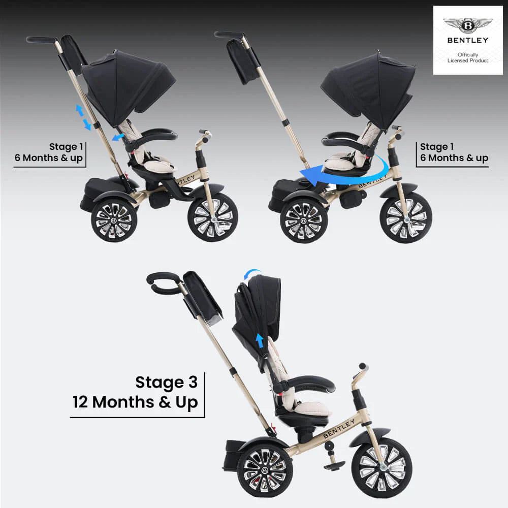 6-In-1 Baby Stroller - Gold