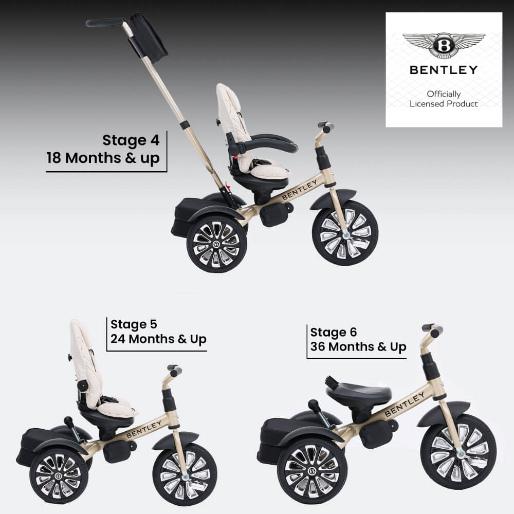 6-In-1 Baby Stroller - Gold