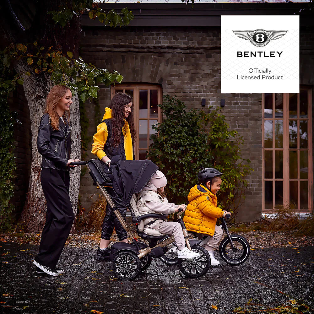 6-In-1 Baby Stroller - Gold