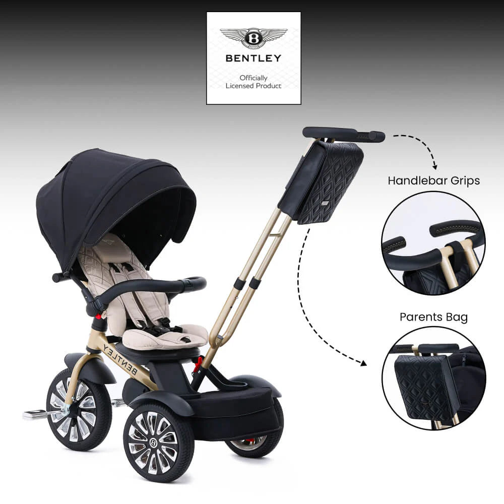 6-In-1 Baby Stroller - Gold