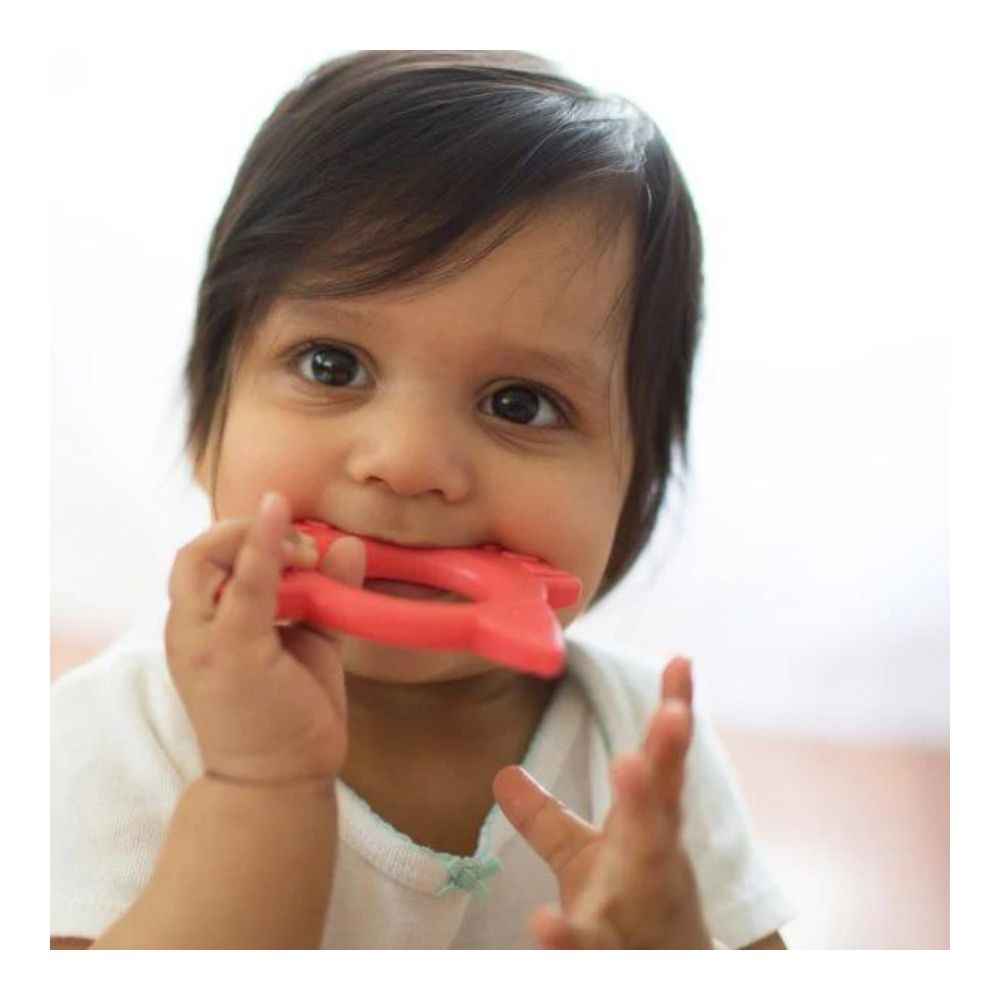 Flexees Friends Teether