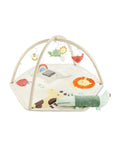 Geometric Wonders Baby Activity Gym