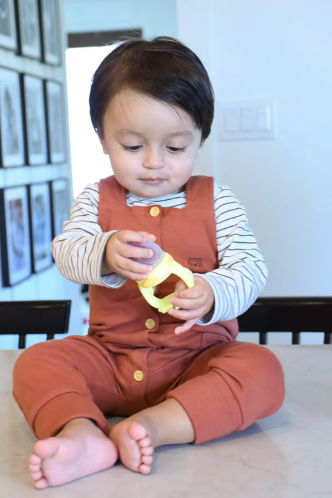 Silicone Duck Fresh Food Feeder and Teether - 2 Pack