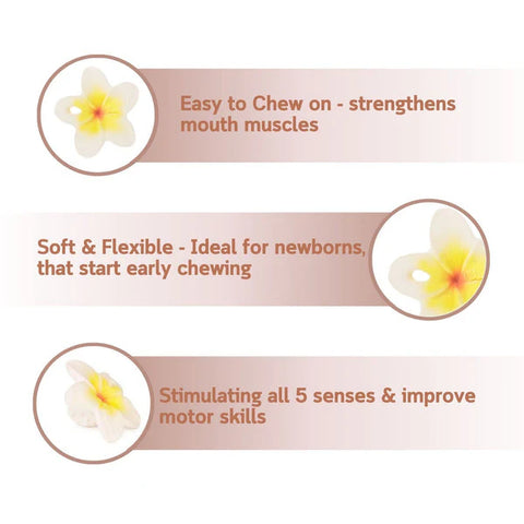 Oli & Carol Hawaii The Flower Chewy Teether