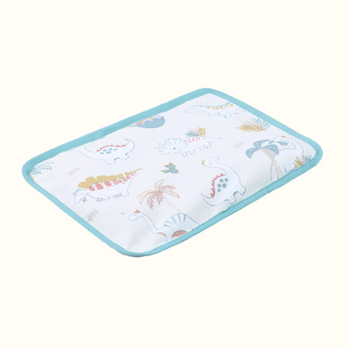 Abracadabra Rai Pillow - D For Dino