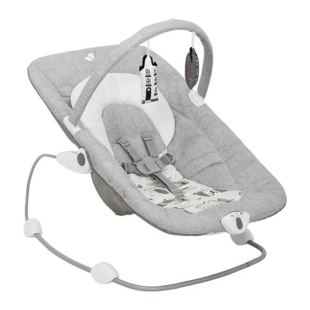 Soother Wish Bouncer & Rocker - Petite City
