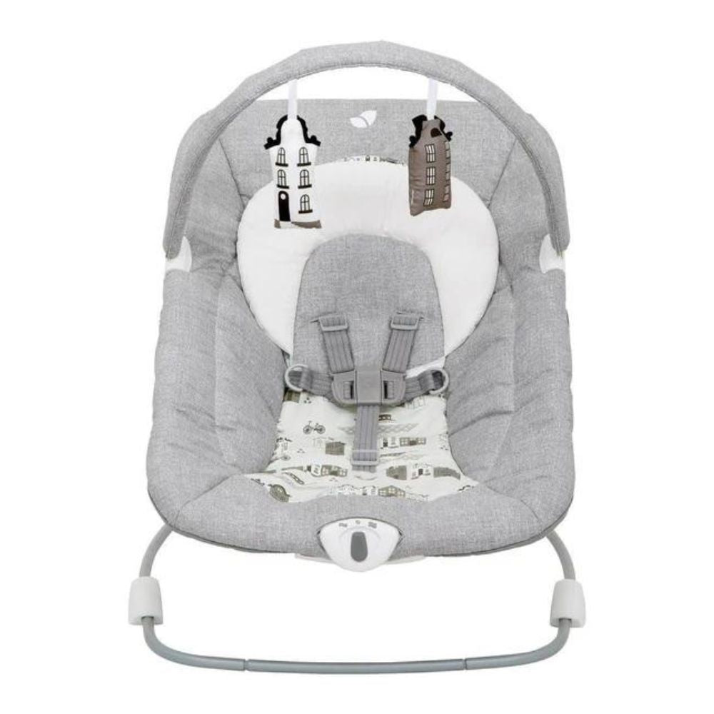 Soother Wish Bouncer & Rocker - Petite City