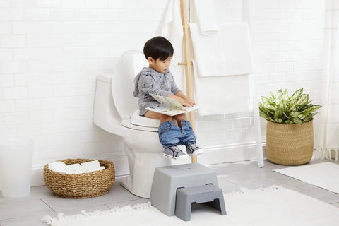 Potty Training Go Time 3in1 Potty -White & Grey